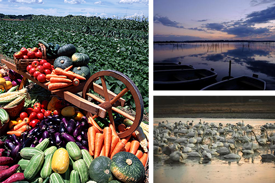 農業、環境政策